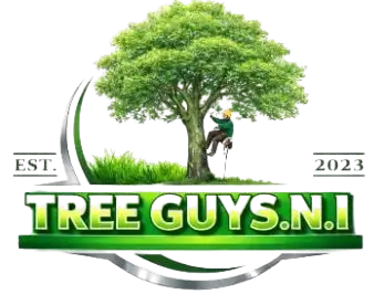 Trees Guy NI Logo The Marketing Crowd N.I. Logo